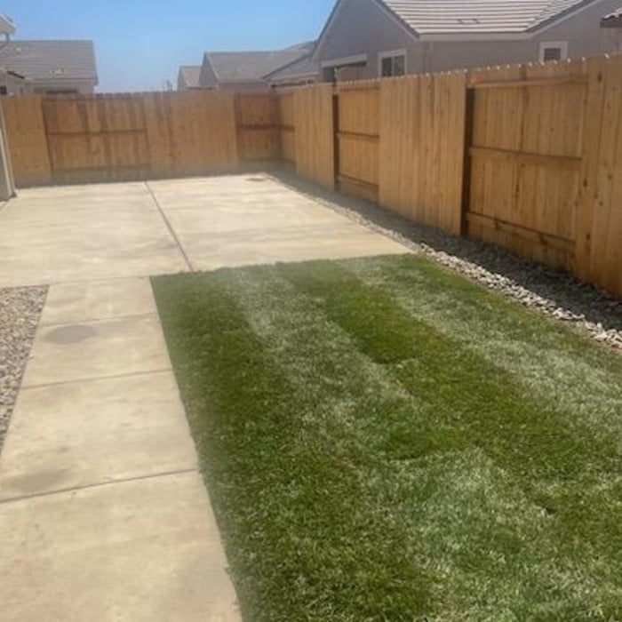 Backyard View #1