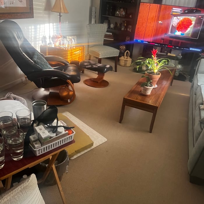 Housecleaning Project