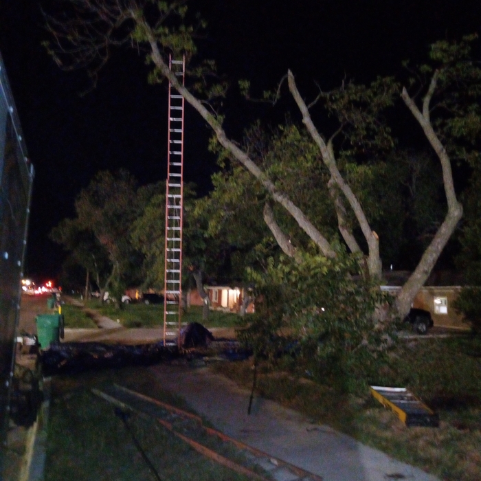 Tree Service Tarleton