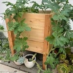 Built Plantern