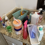 Housecleaning Project