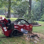 Stump grind