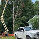 Tree removal