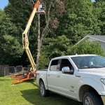 Tree removal
