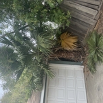 Tree Service Project