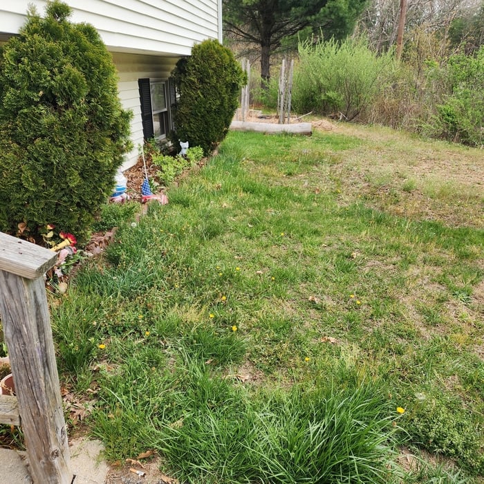 Additional Photos