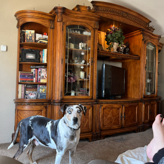 Additional Photos