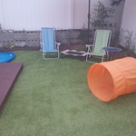 Pet Grooming Area