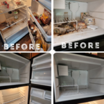 Major mold and grime build-up in fridge