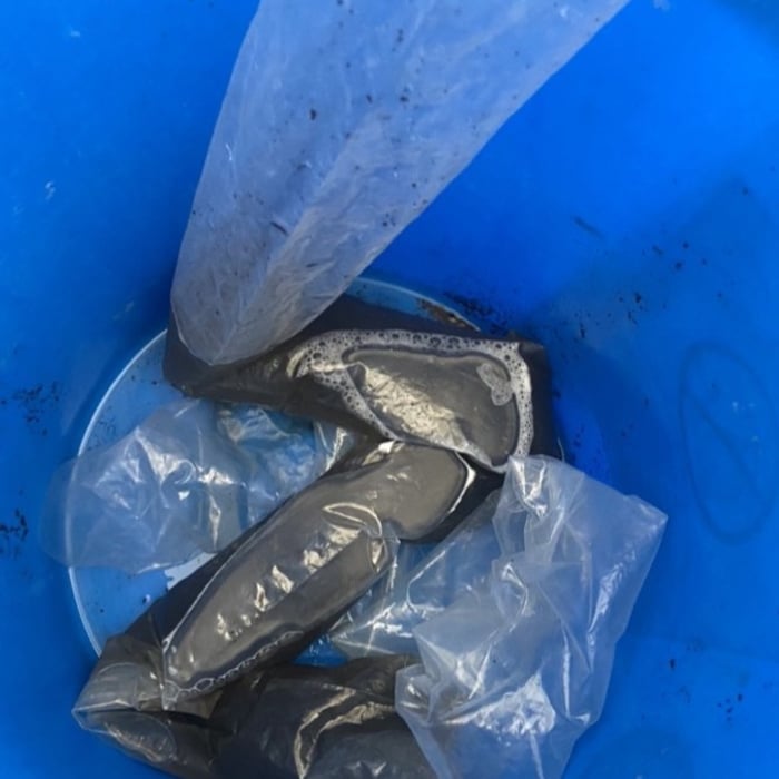 After power washing the unit, this is the dirty/moldy water coming out into the bucket
