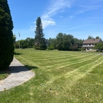 Lawn