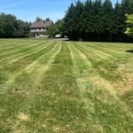 Lawn