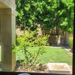 Window Cleaning Project