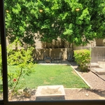Window Cleaning Project