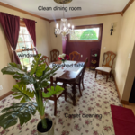 Carpet cleaning
