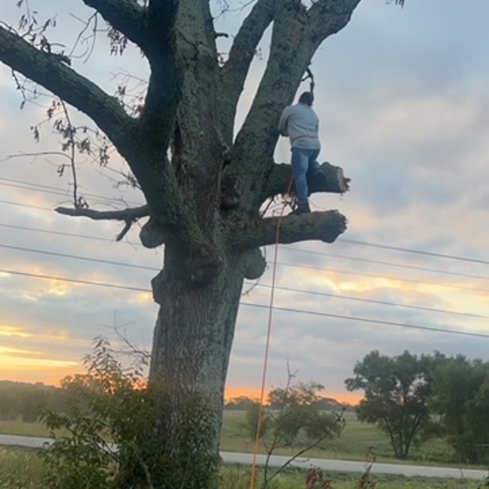 Additional Photos