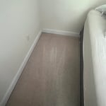 Carpet Cleaning Project