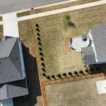 Landscaping Project