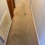 Carpet Cleaning Project