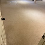 Carpet Cleaning Project