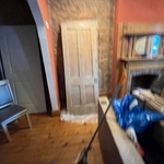 Paint removal