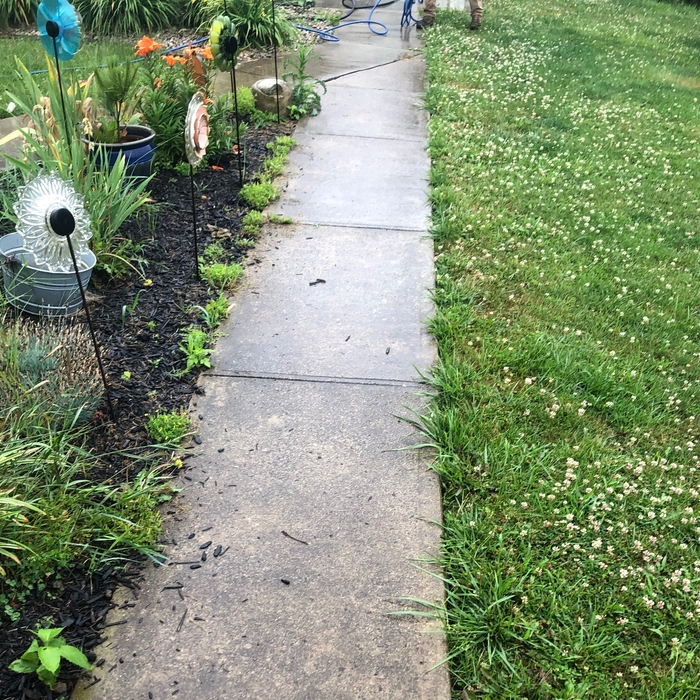 Dirty sidewalk