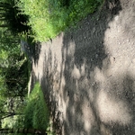 Judi Leininger Driveway Grading