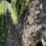 Judi Leininger Driveway Grading