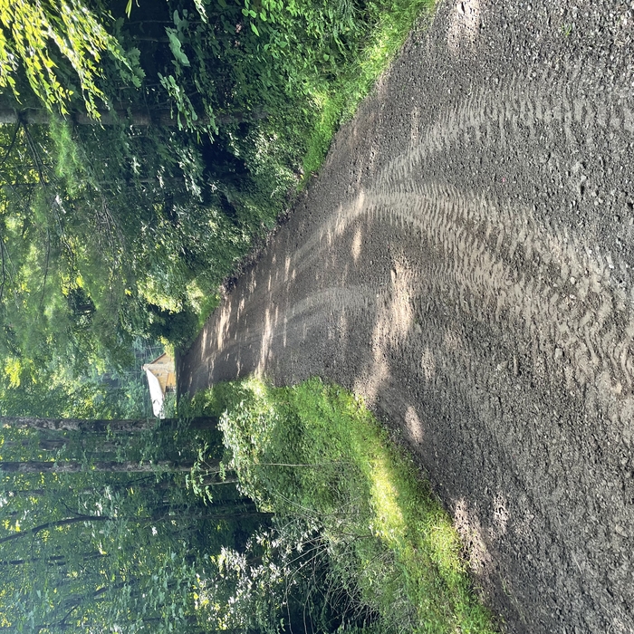 Judi Leininger Driveway Grading
