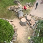 Tree Service Project