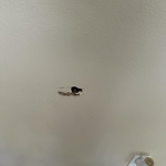 Remodeling - General Project
