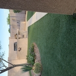 Turf Cleaning