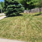 Lawn mowing