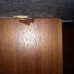 Wood and finish repair