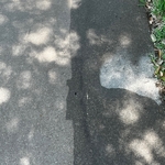 Half & half of the front walk way