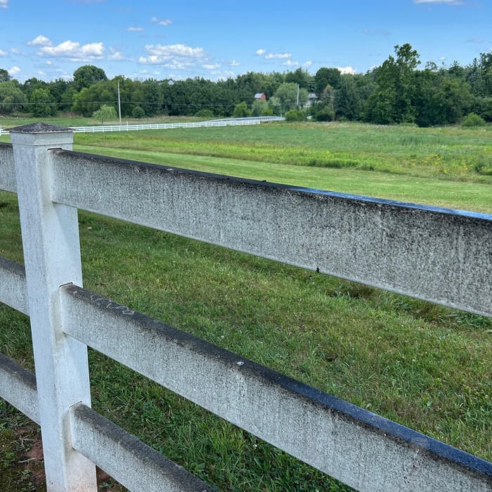 Fence Pressure Wash