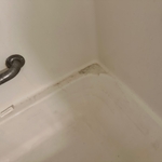 Master bathroom tub