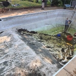 Pressure Washing Project