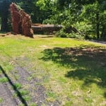 Fallen tree clean up and removal