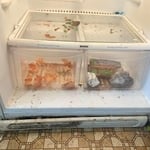 Stove and Fridge deep clean