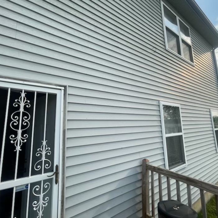 Pressure Washing Project
