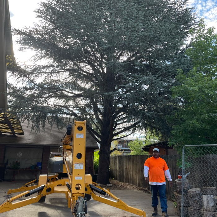 Additional Photos