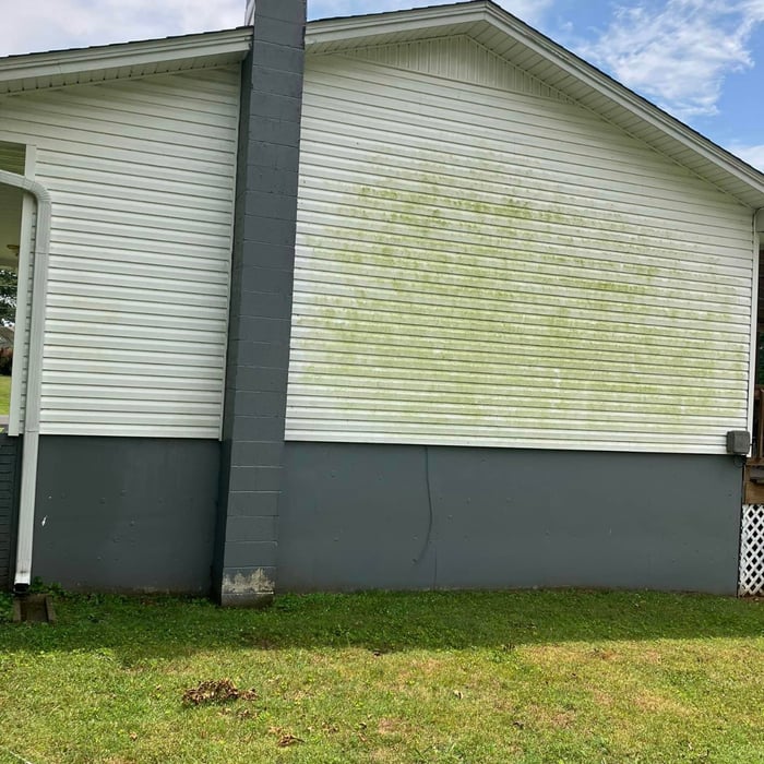 Pressure Washing Project