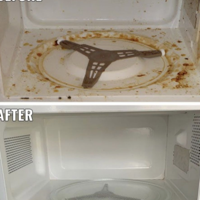 Harsh stain removal. Deep cleaning complete without heavy chemical use we use plant based cleaning supplies.