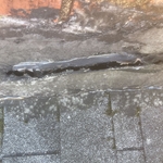 Roofing Project