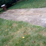 House wash/ driveway walkway cleaning