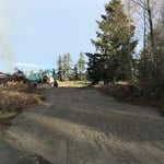 Progress including tree clearing