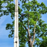 Up there getting the rope tied off to lift