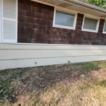 New flower bed install