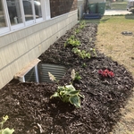 New flower bed install